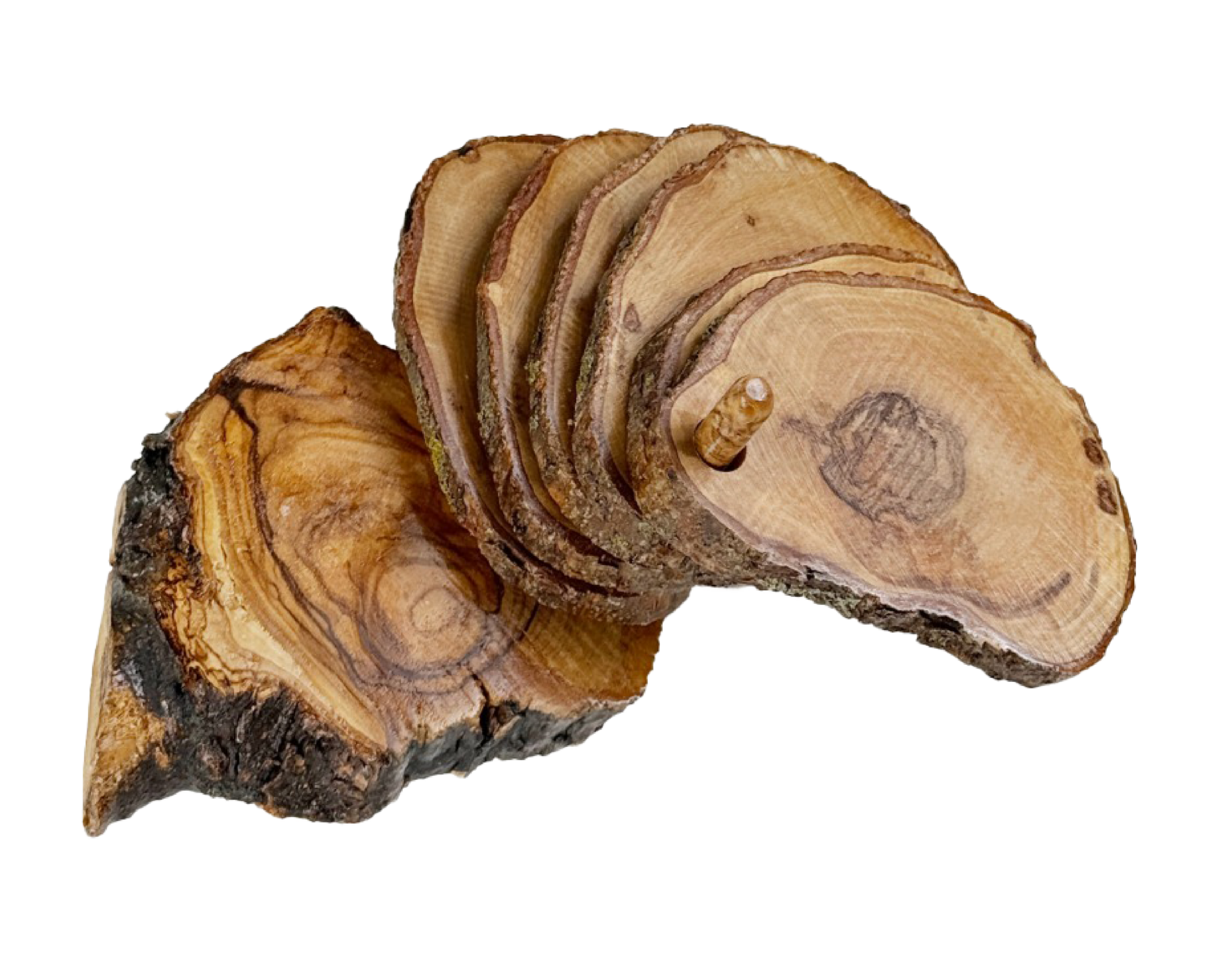 كوستر الزيتون – لمسة طبيعية